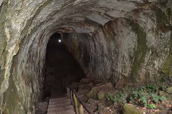104 - Ecuador - islas Galapagos - isla Santa Cruz - tunel de lava